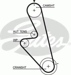 Timing Belt PowerGrip™ 5449