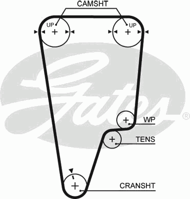 Timing Belt PowerGrip™ 5506XS