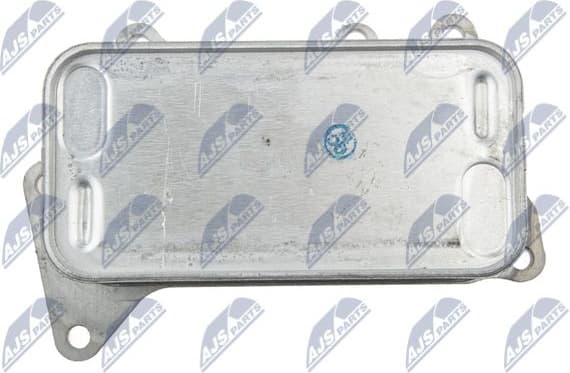 CCL-BM-021 - image 4