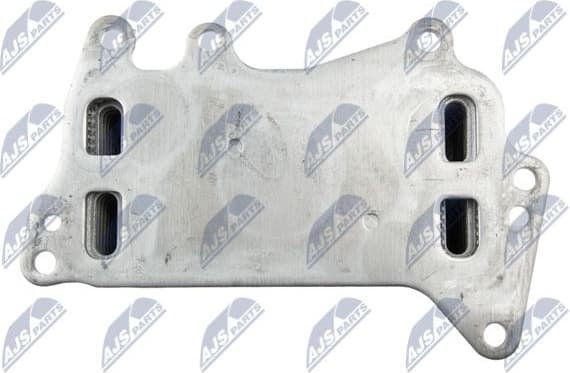 CCL-BM-021 - image 5