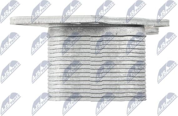 CCL-BM-021 - image 6