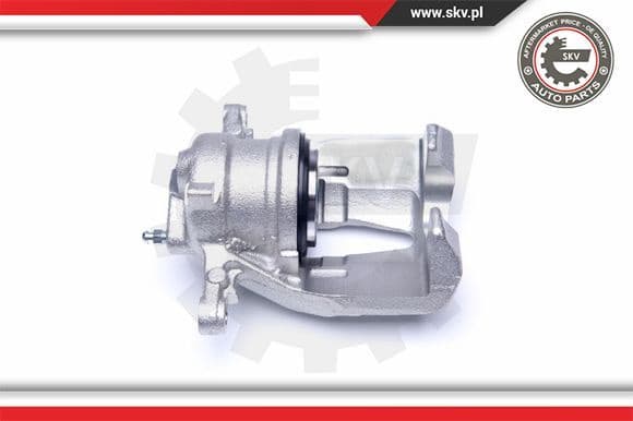 Brake Caliper 42SKV231