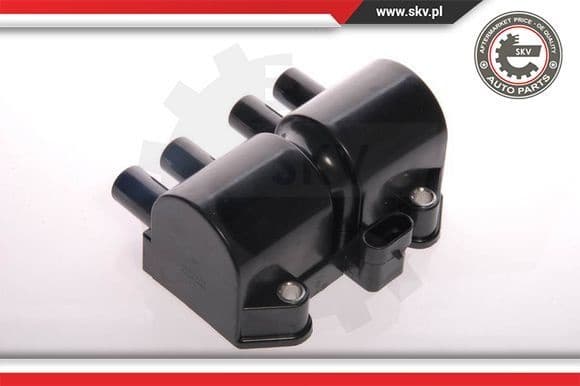 Ignition Coil 03SKV018