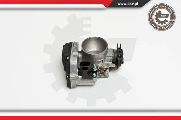 Throttle Body 12SKV034