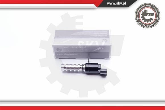 Control Valve, camshaft adjustment 39SKV021