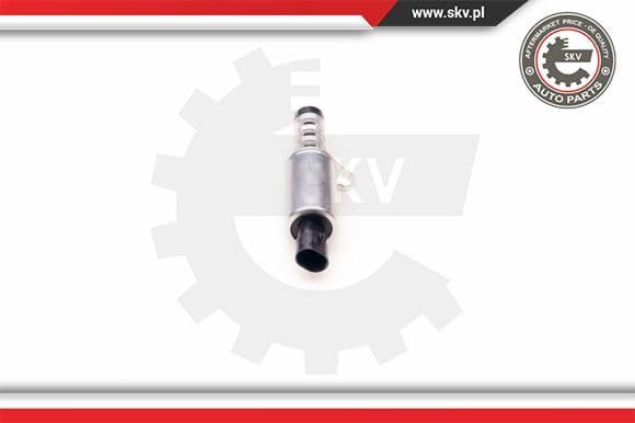 Control Valve, camshaft adjustment 39SKV008