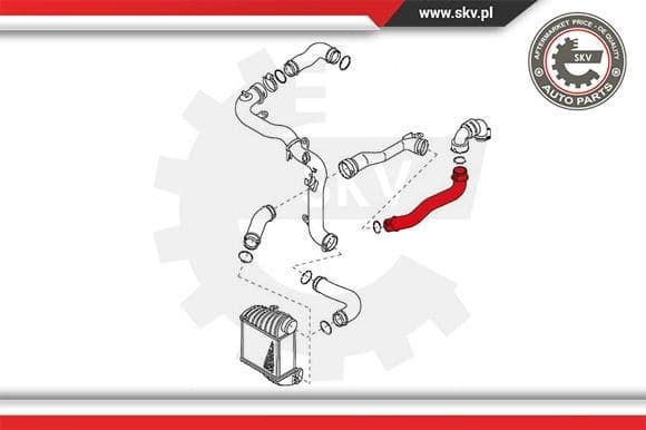 Charge Air Hose 24SKV697 - image 4