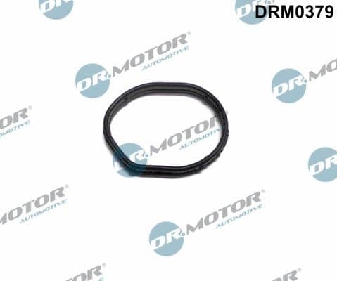 Gasket, timing case cover DRM0379