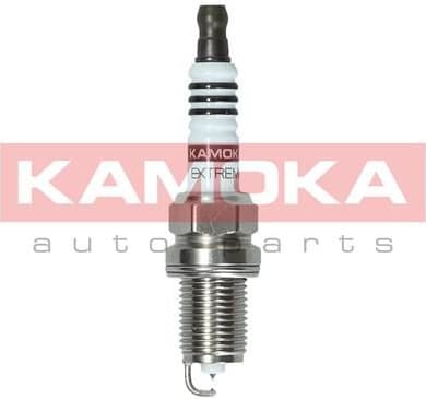 Spark Plug 7100045