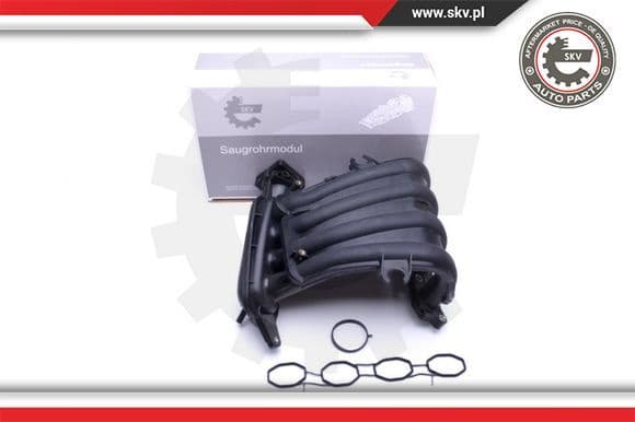Intake Manifold Module 49SKV023