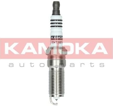 Spark Plug 7100035