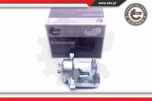 Brake Caliper 42SKV901
