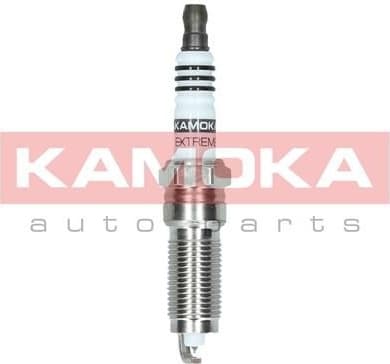 Spark Plug 7100022