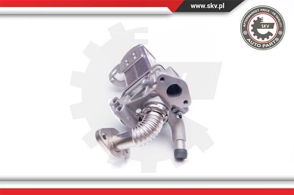 EGR Valve 14SKV135