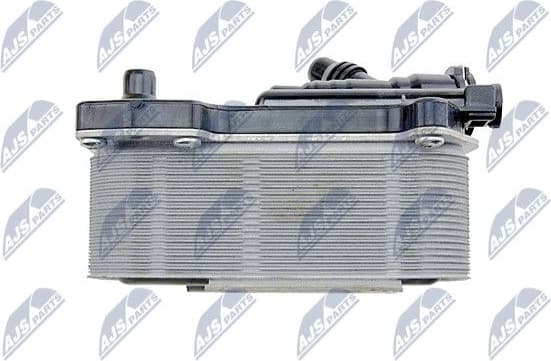 CCL-BM-009 - image 5