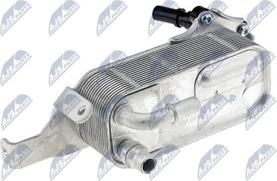 CCL-BM-011 - image 2