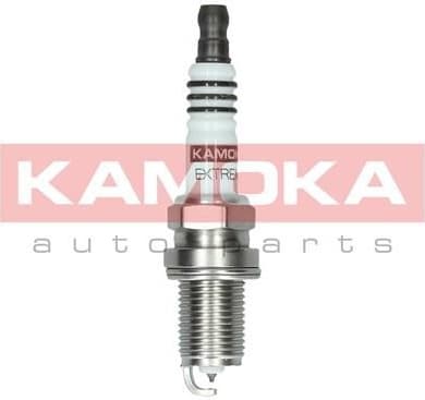 Spark Plug 7090020