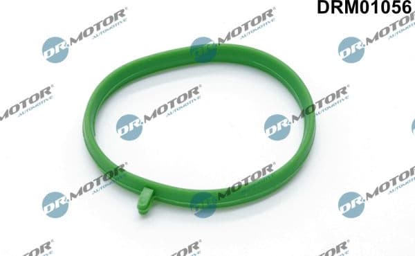 Gasket, throttle body DRM01056