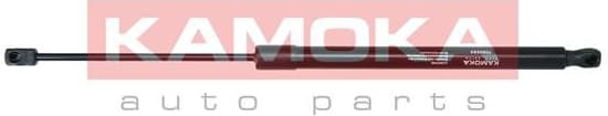 Gas spring 7092593