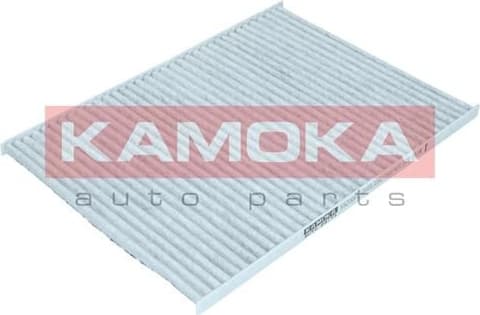 Filter, cabin air F520001