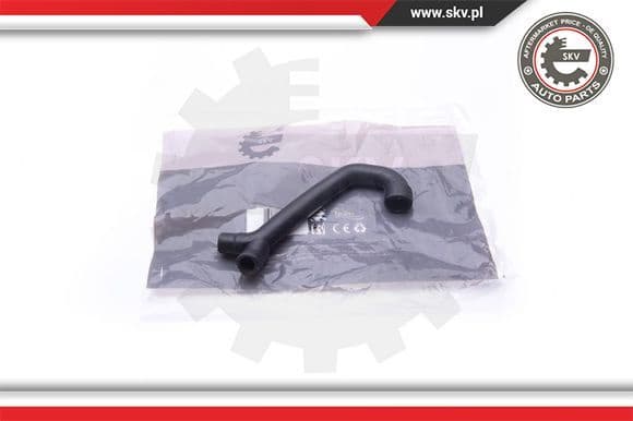 Hose, crankcase ventilation 31SKV118