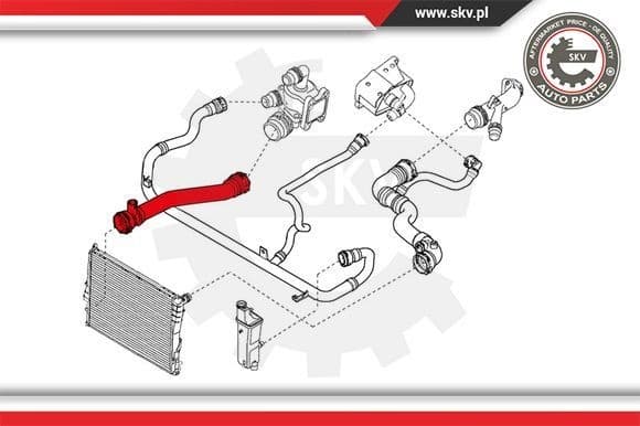 Radiator Hose 24SKV244 - image 4