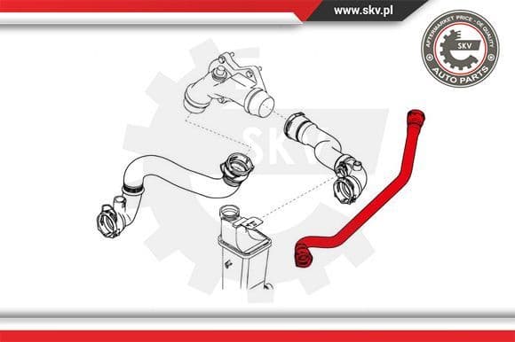 Radiator Hose 43SKV741 - image 4