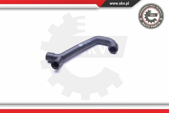 Hose, crankcase ventilation 31SKV113 - image 2