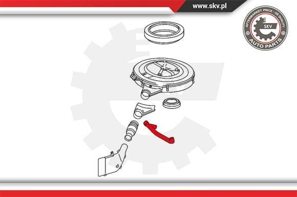 Hose, crankcase ventilation 31SKV113 - image 4