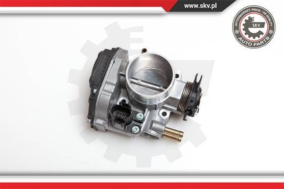 Throttle Body 12SKV010