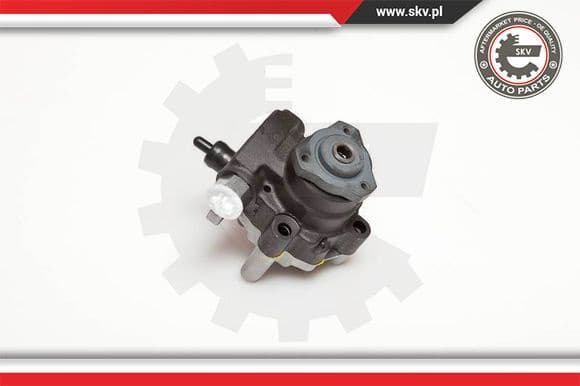 Hydraulic Pump, steering 10SKV094