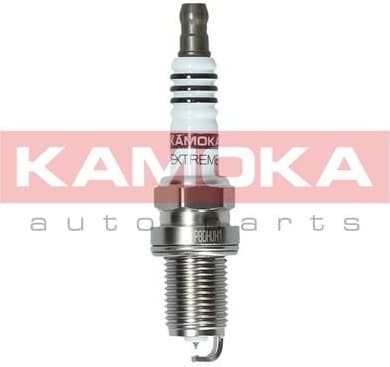 Spark Plug 7100008
