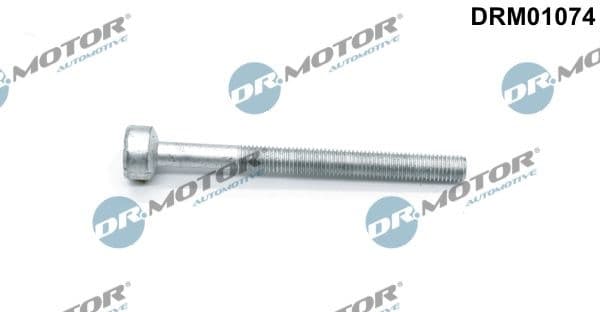 Screw, injection nozzle holder DRM01074