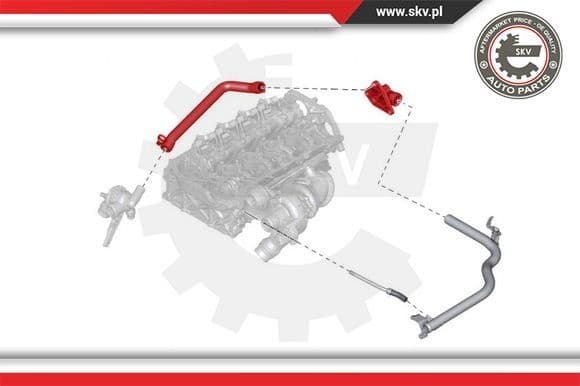 Radiator Hose 43SKV740 - image 4