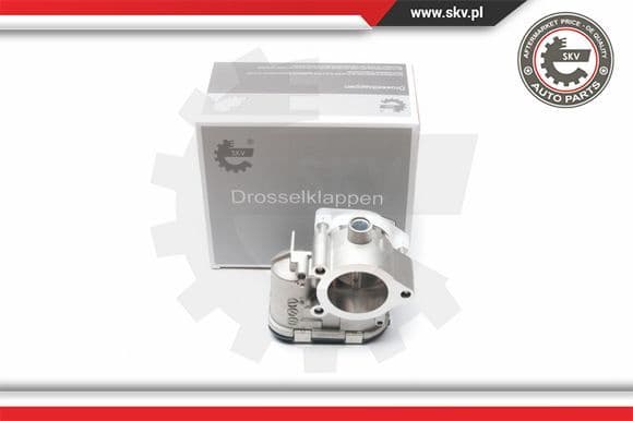 Throttle Body 12SKV046