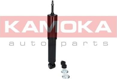 Shock Absorber 2000029
