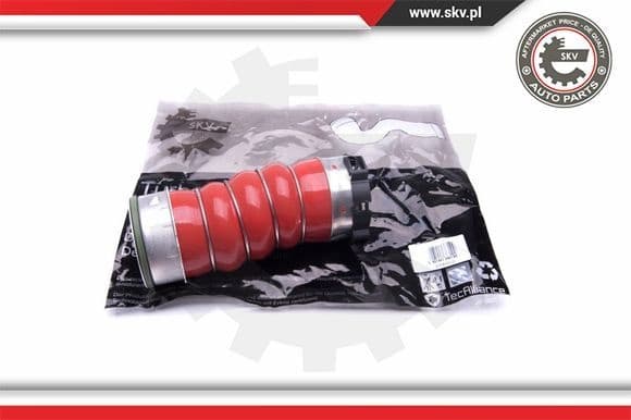 Charge Air Hose 43SKV219