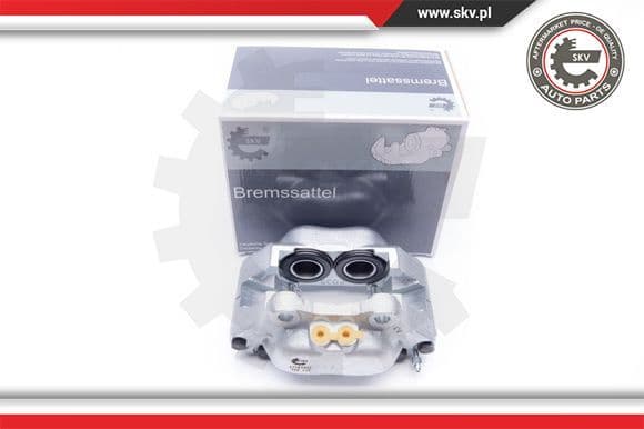 Brake Caliper 42SKV002