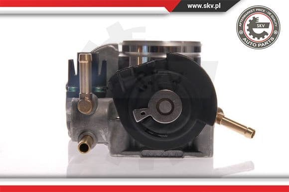Throttle Body 12SKV025