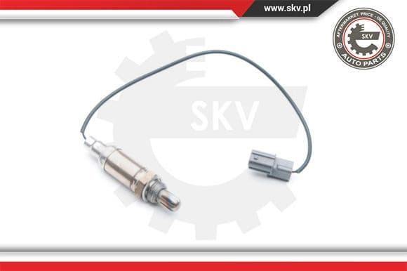 Oxygen Sensor 09SKV719