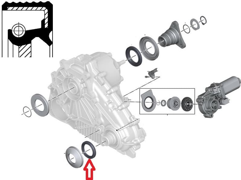 Seal transfer case 010 35169B - image 4