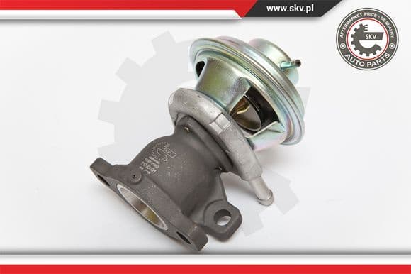 EGR Valve 14SKV062