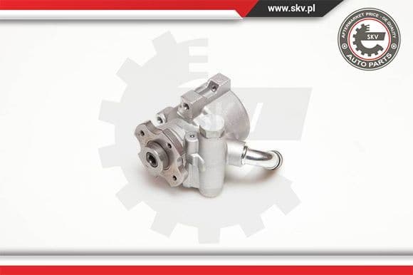 Hydraulic Pump, steering 10SKV096
