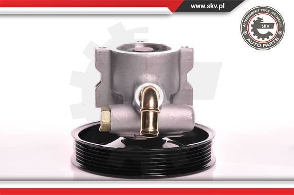 Hydraulic Pump, steering 10SKV142