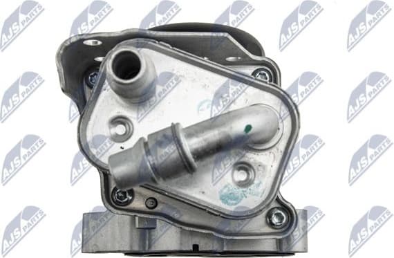 CCL-BM-019 - image 7