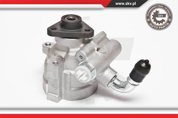 Hydraulic Pump, steering 10SKV064