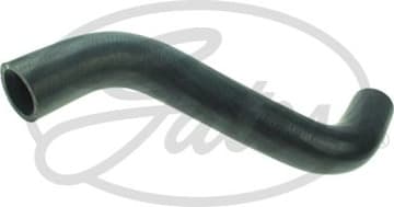 Radiator Hose 053012