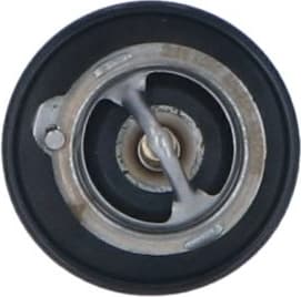 Thermostat, coolant EASY FIT 725143