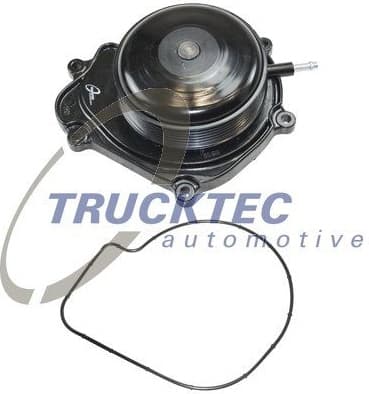 Water Pump, engine cooling 02.19.264