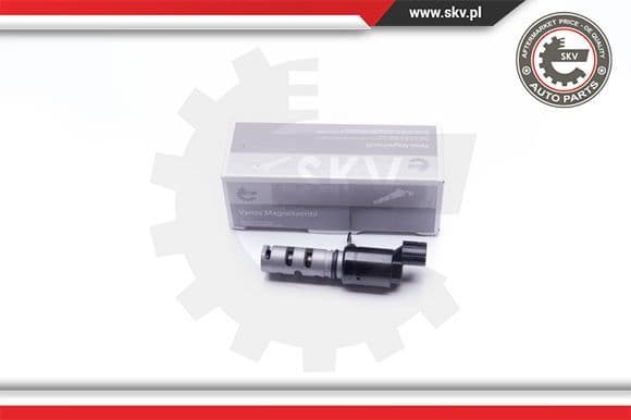 Control Valve, camshaft adjustment 39SKV022